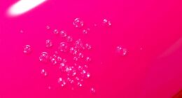 air bubbles in paint