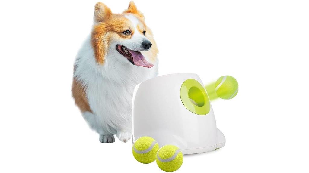 dog ball launcher system