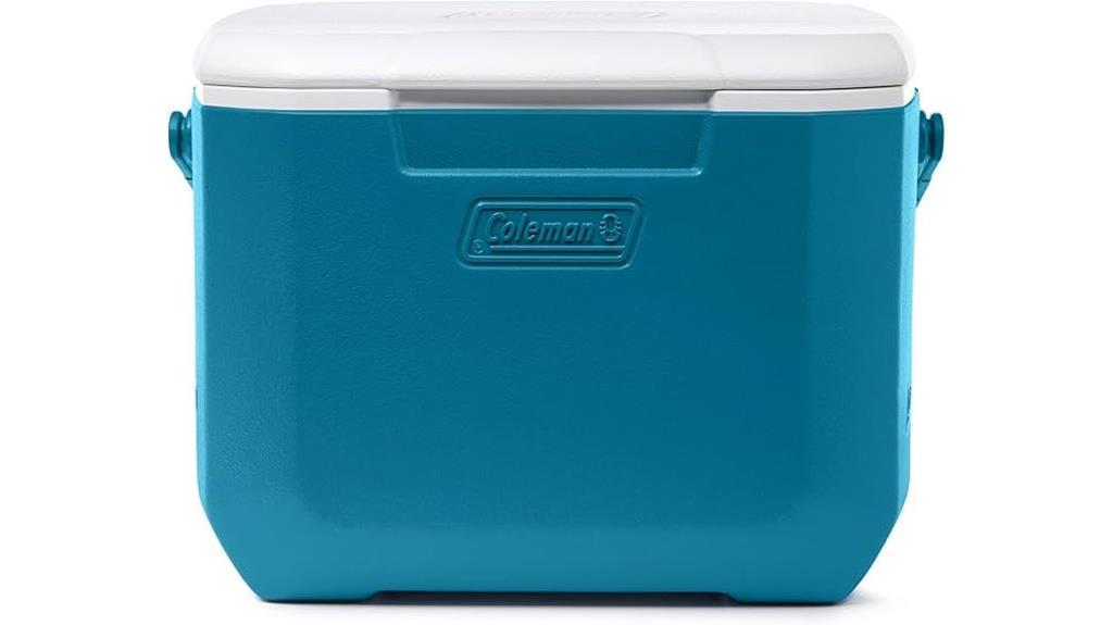 insulated 16 quart portable cooler