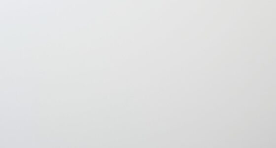 prevent paint quality issues