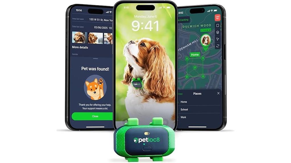 real time dog location tracker