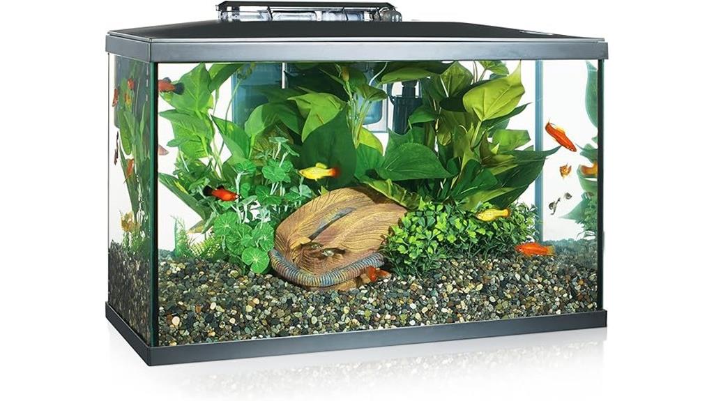 small 10 gallon led aquarium