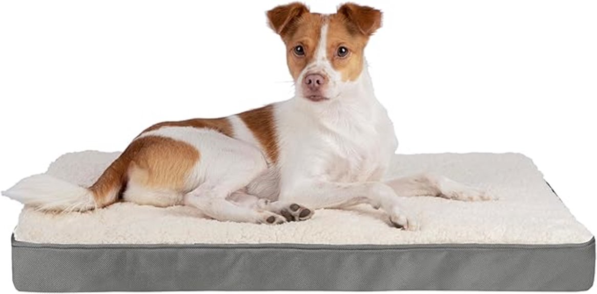 waterproof orthopedic dog mat
