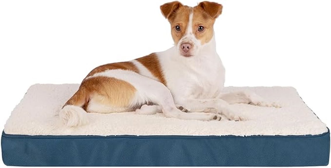 waterproof sherpa dog mat