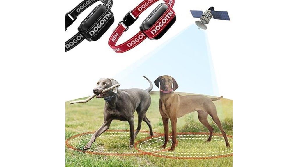 wireless fence for multiple dogs