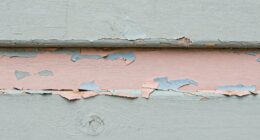 quick feather paint removal