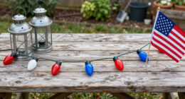 11 Best Patriotic Outdoor String Lights in 2026