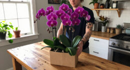Costco’s $25 Floating Orchids Look Better Than A $500 Florist Arrangement